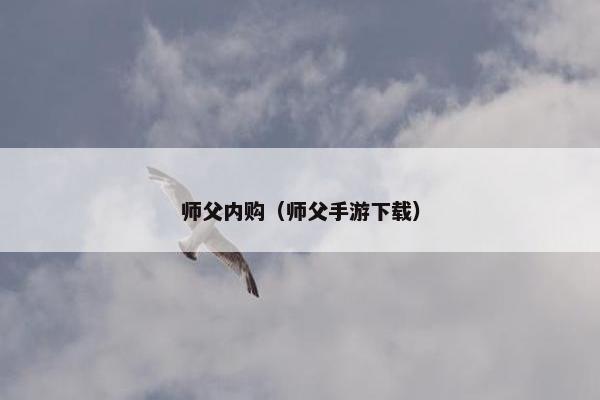 师父内购（师父手游下载）