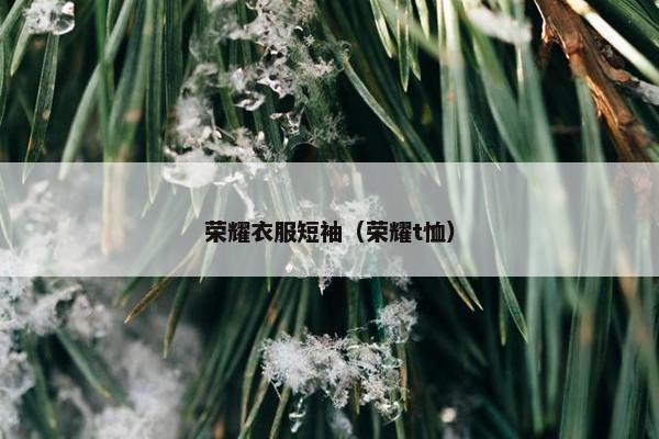 荣耀衣服短袖（荣耀t恤）