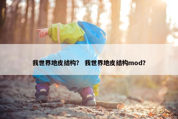 我世界地皮结构？ 我世界地皮结构mod？