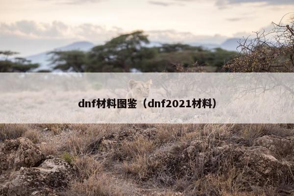 dnf材料图鉴（dnf2021材料）
