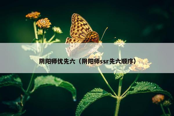 阴阳师优先六（阴阳师ssr先六顺序）