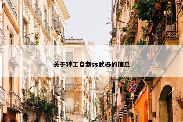 关于特工自制ss武器的信息