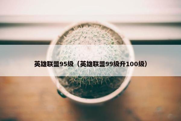 英雄联盟95级（英雄联盟99级升100级）