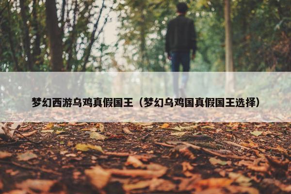 梦幻西游乌鸡真假国王（梦幻乌鸡国真假国王选择）