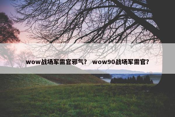 wow战场军需官邪气？ wow90战场军需官？