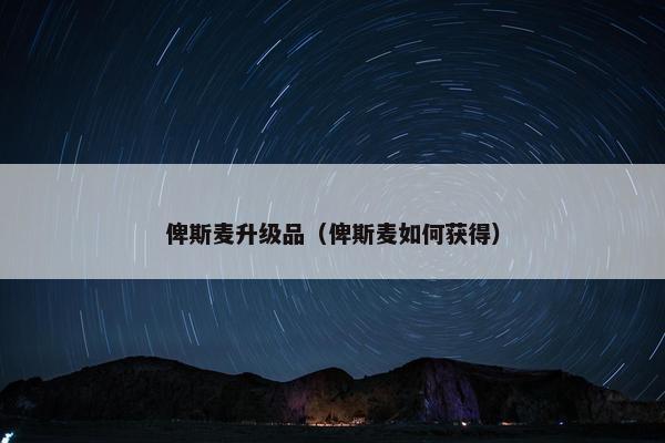 俾斯麦升级品（俾斯麦如何获得）