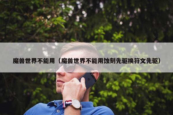 魔兽世界不能用（魔兽世界不能用蚀刻先驱换符文先驱）