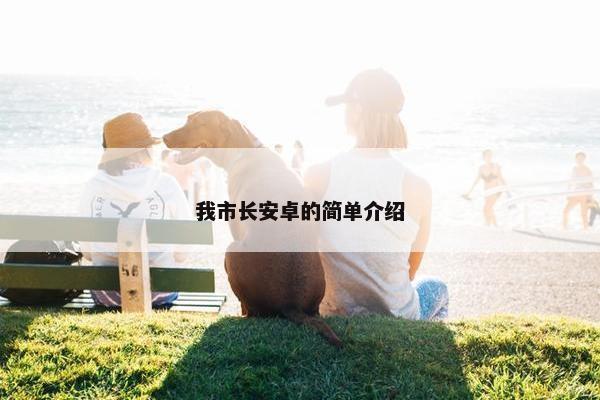 我市长安卓的简单介绍