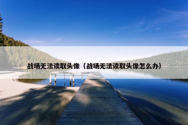 战场无法读取头像（战场无法读取头像怎么办）