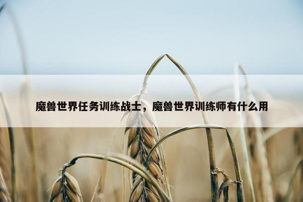 魔兽世界任务训练战士，魔兽世界训练师有什么用