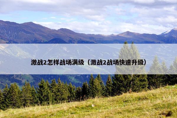 激战2怎样战场满级（激战2战场快速升级）