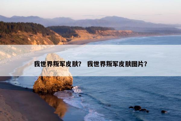 我世界叛军皮肤？ 我世界叛军皮肤图片？