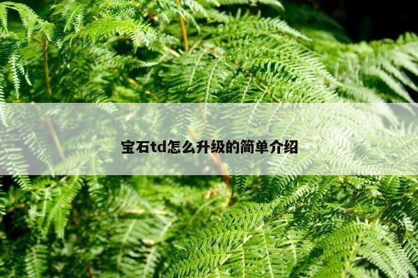 宝石td怎么升级的简单介绍