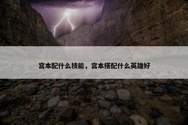 宫本配什么技能，宫本搭配什么英雄好
