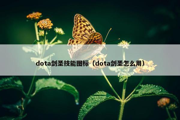 dota剑圣技能图标（dota剑圣怎么用）