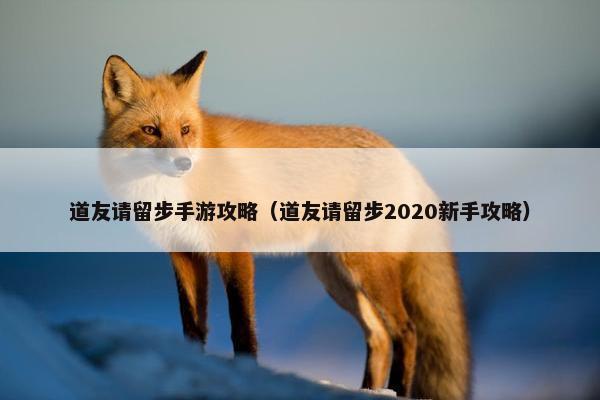 道友请留步手游攻略（道友请留步2020新手攻略）