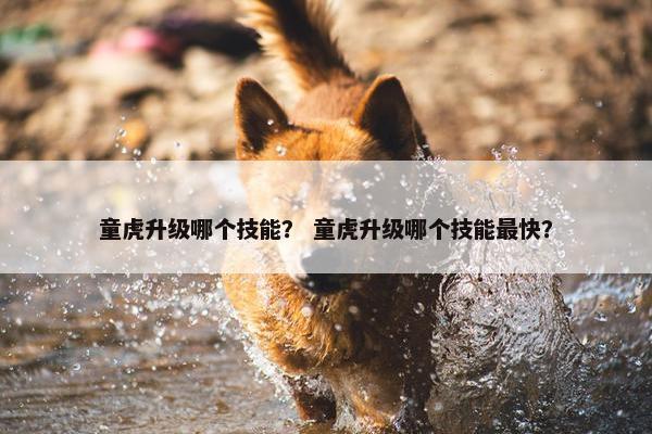 童虎升级哪个技能？ 童虎升级哪个技能最快？