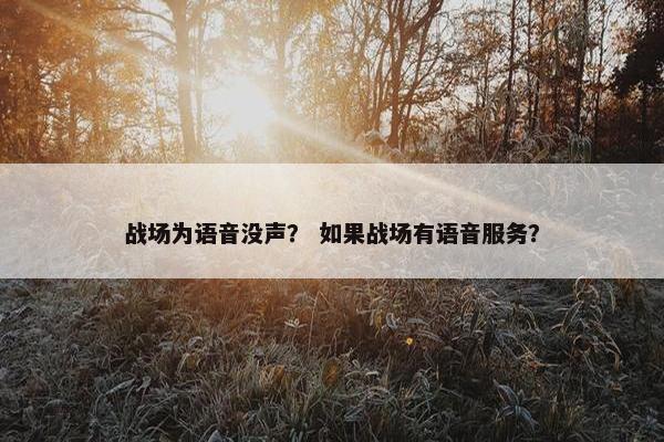 战场为语音没声？ 如果战场有语音服务？
