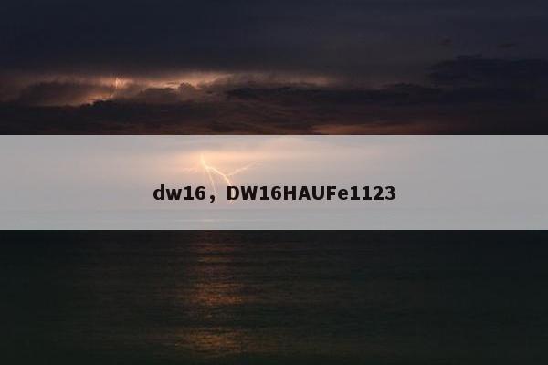 dw16，DW16HAUFe1123