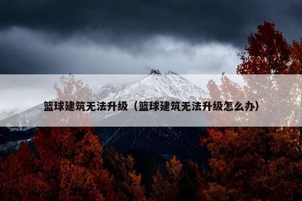 篮球建筑无法升级（篮球建筑无法升级怎么办）