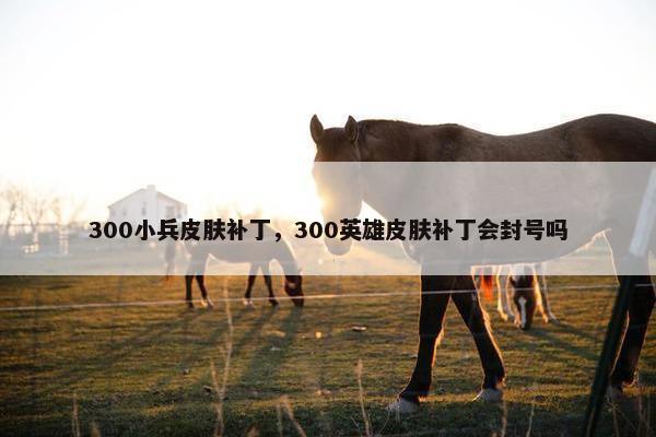 300小兵皮肤补丁，300英雄皮肤补丁会封号吗