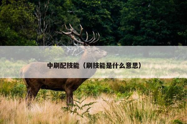 中刷配技能（刷技能是什么意思）