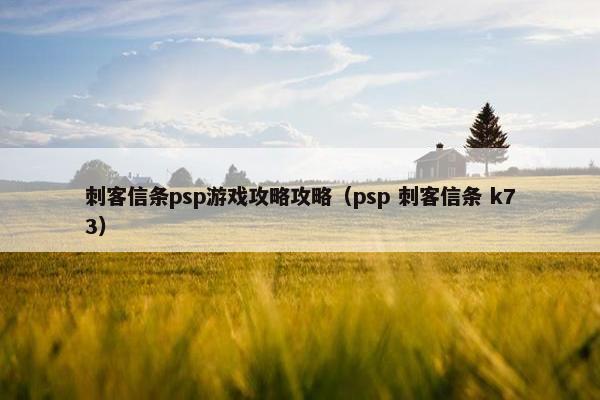 刺客信条psp游戏攻略攻略（psp 刺客信条 k73）