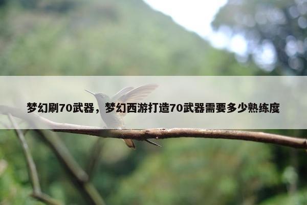 梦幻刷70武器，梦幻西游打造70武器需要多少熟练度