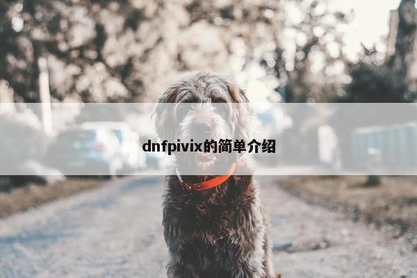 dnfpivix的简单介绍