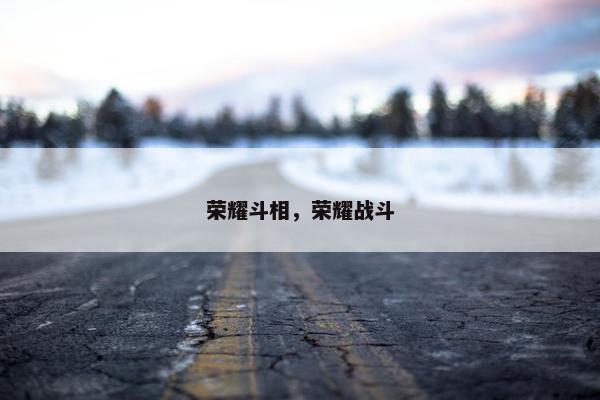 荣耀斗相，荣耀战斗