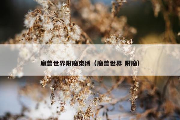 魔兽世界附魔束缚（魔兽世界 附魔）