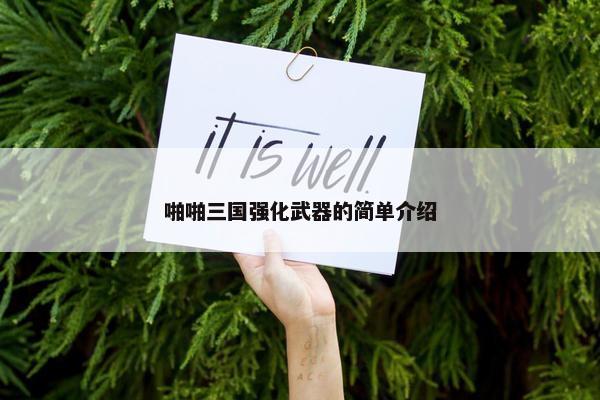 啪啪三国强化武器的简单介绍