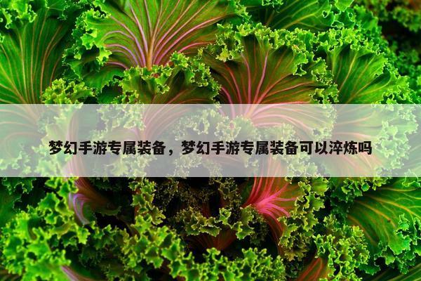 梦幻手游专属装备，梦幻手游专属装备可以淬炼吗
