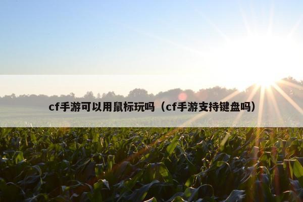 cf手游可以用鼠标玩吗（cf手游支持键盘吗）