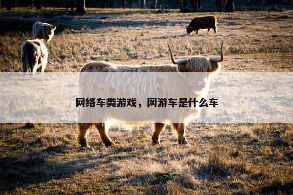 网络车类游戏，网游车是什么车
