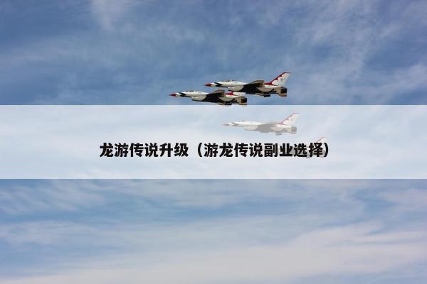 龙游传说升级（游龙传说副业选择）