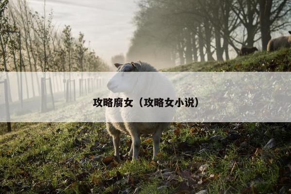 攻略腐女（攻略女小说）
