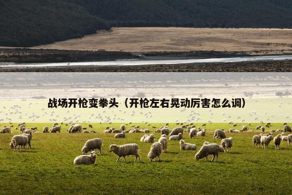 战场开枪变拳头（开枪左右晃动厉害怎么调）