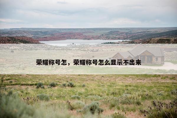 荣耀称号怎，荣耀称号怎么显示不出来