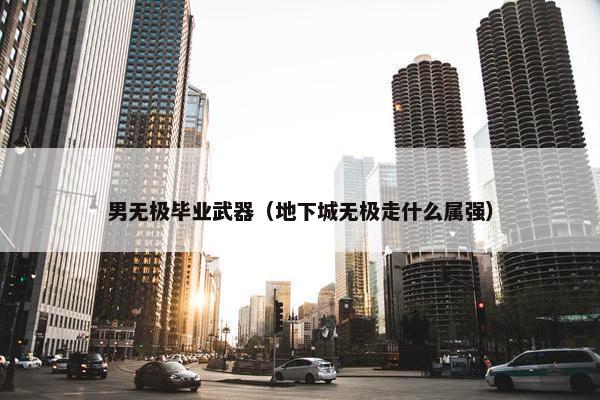 男无极毕业武器（地下城无极走什么属强）
