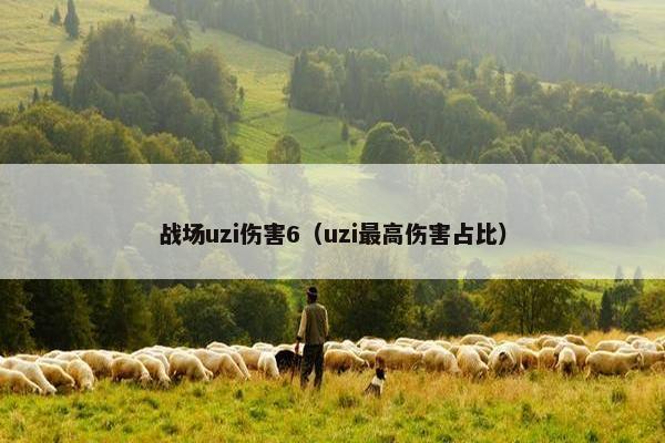 战场uzi伤害6（uzi最高伤害占比）