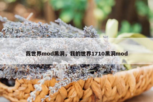 我世界mod黑洞，我的世界1710黑洞mod
