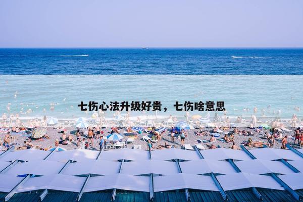 七伤心法升级好贵，七伤啥意思