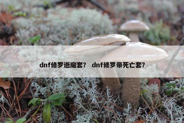 dnf修罗逝魔套？ dnf修罗带死亡套？