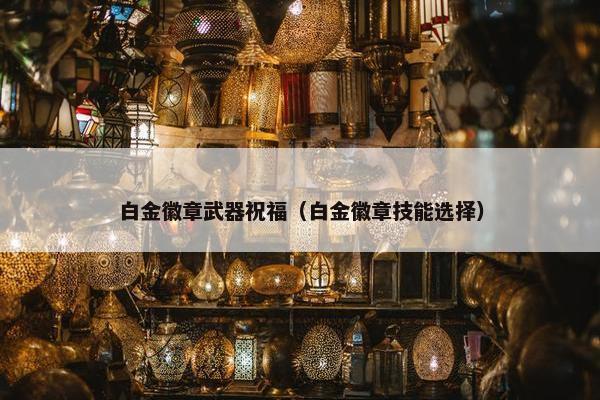 白金徽章武器祝福（白金徽章技能选择）