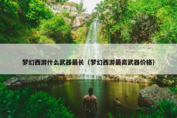 梦幻西游什么武器最长（梦幻西游最高武器价格）
