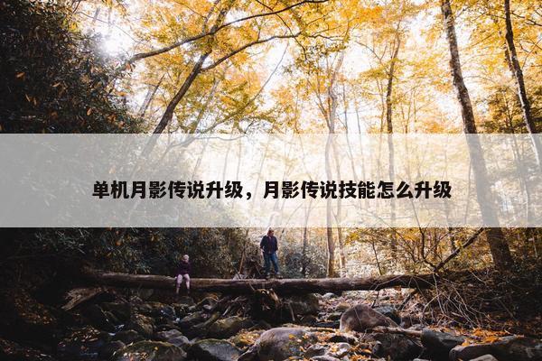 单机月影传说升级，月影传说技能怎么升级