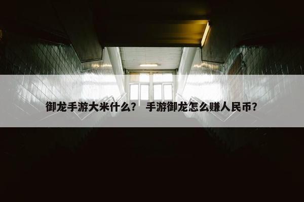 御龙手游大米什么？ 手游御龙怎么赚人民币？