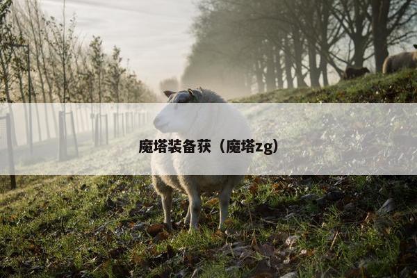 魔塔装备获（魔塔zg）
