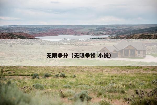 无限争分（无限争锋 小说）
